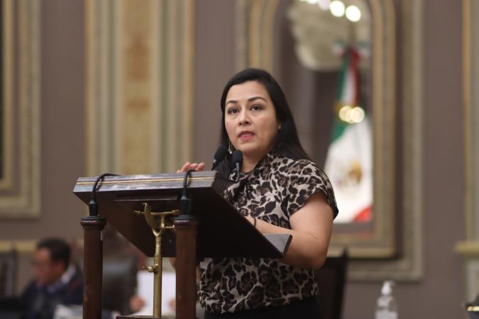 Congreso pide que sea subterráneo cableado de telecomunicaciones en pueblos mágicos