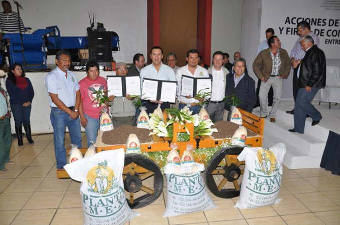 Genera Puebla 40% de pimienta verde que se exporta a nivel nacional