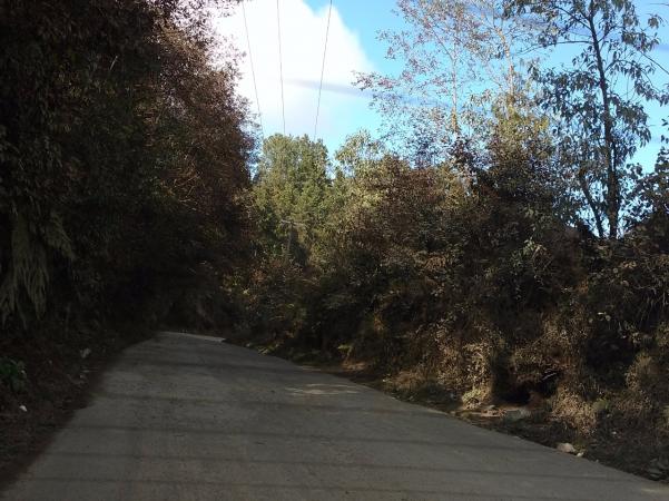 A 6 años de anunciada, inicia reparación de camino a Pahuatlán image 3