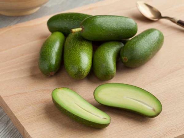 Modifican aguacate para que no tenga semilla y evitar accidentes