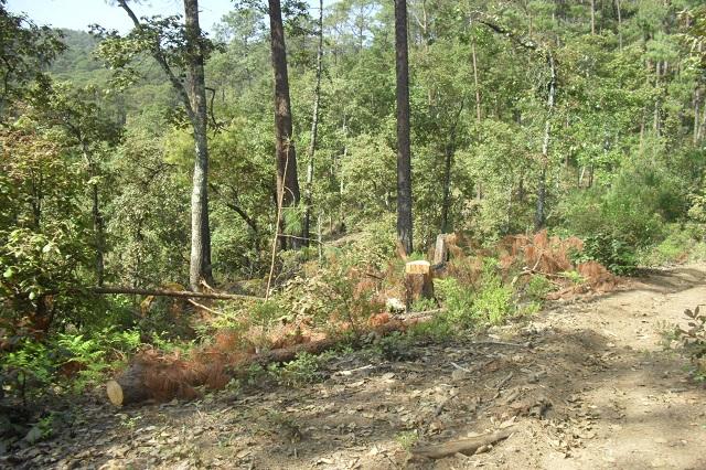 Mantiene Conafor alerta por posibles deslaves en la Sierra Negra