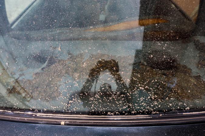 VIDEO Habitantes poblanos reportan caída de ceniza del volcán Popocatépetl