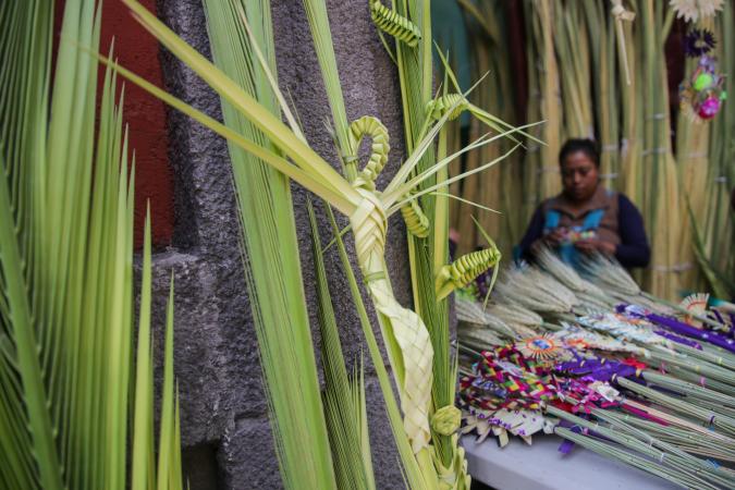 VIDEO Elaboración de adornos de palma para el Domingo de Ramos