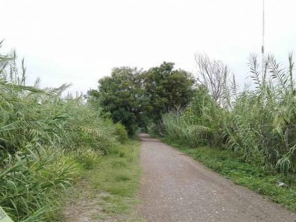 Encuentran sin vida a Marcos Daniel, conocido como el Niño Sicario