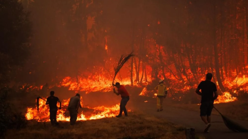 Ola de calor e incendios forestales ponen en alerta a Europa