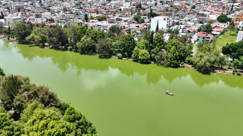 Laguna de San Baltazar en Puebla recupera niveles de agua