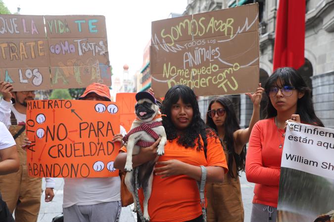 Activistas se manifiestan por los derechos de los animales