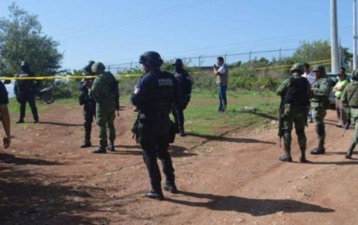 Un perro llevaba la cabeza de la mujer que estaba desaparecida