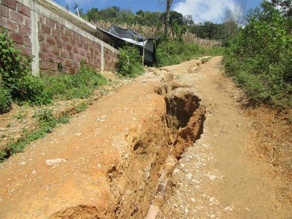 Foto Leticia Ánimas Vargas