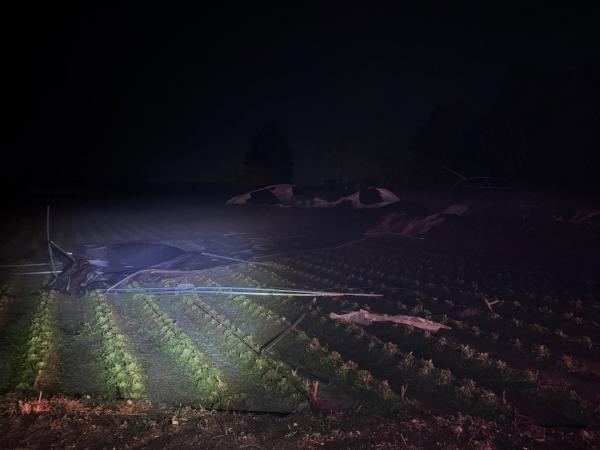 Fuertes lluvias dejan afectaciones en terrenos de cultivo de Tochtepec
