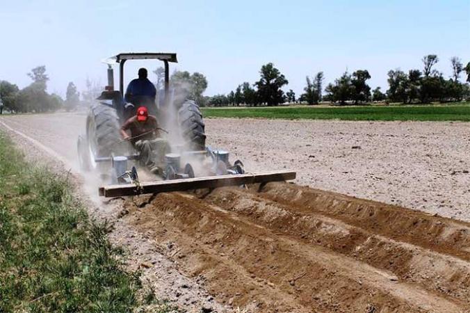 Poco interés por asegurar campos de agricultores