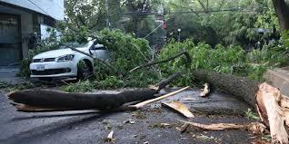 Vientos dejan afectaciones en Aquixtla, Ocotepec, Huauchinango y Zacatlán