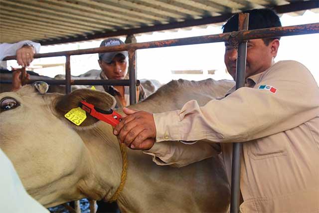 Foto Archivo Foto Archivo