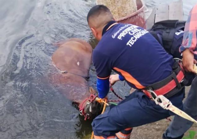 Se salvan pasajeros de carreta tras caer a canal de Valsequillo