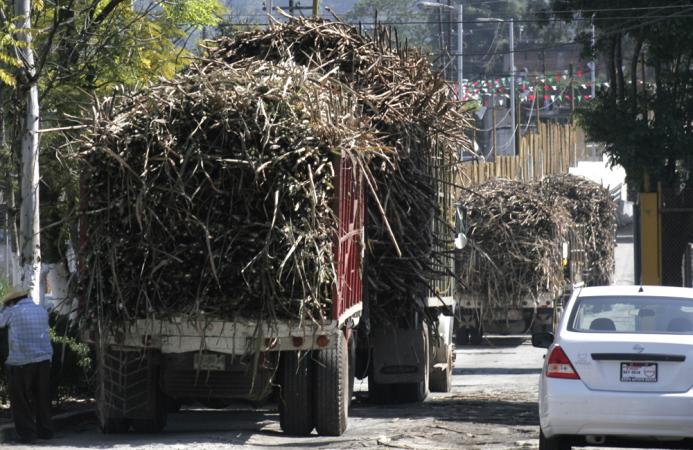 Concluirá el 20 de mayo la zafra en el sur de Puebla