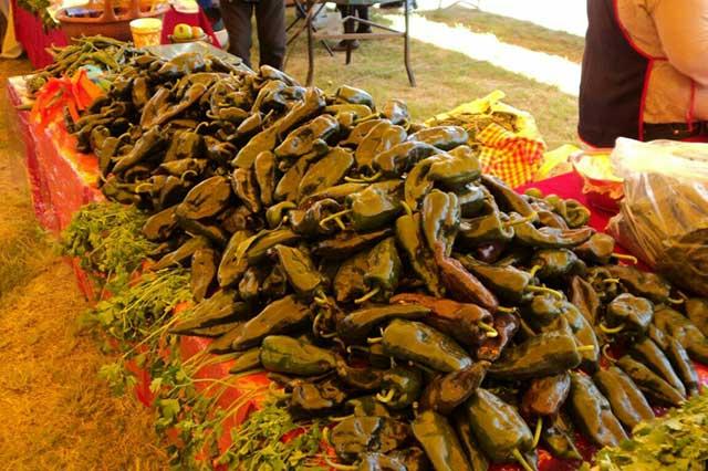 Pierden productores de chile poblano 50 % de su producción: Texmelucan