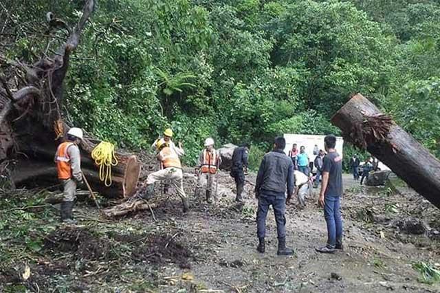 Reabren circulación en carreteras afectadas en la Sierra Norte image 2