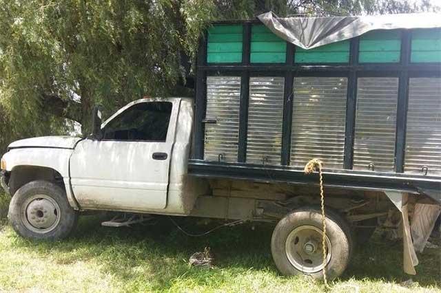 Rescata SSP a 12 indocumentados, combustible y vehículos robados image 2