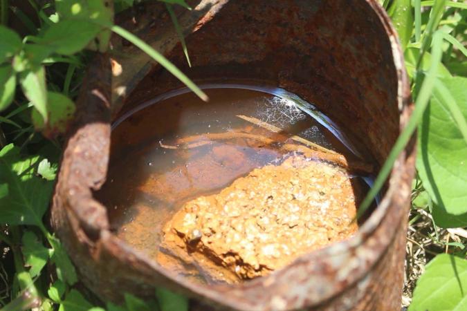 Atiende Salud a cuatro personas hospitalizadas por dengue