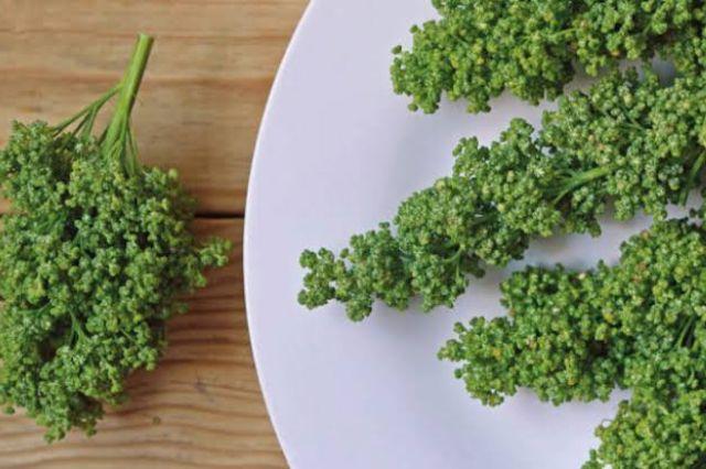 Poco valorado y muy nutritivo: el huauzontle y sus beneficios reales