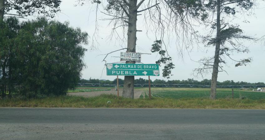 Matan a golpes a septuagenario en Palmar de Bravo