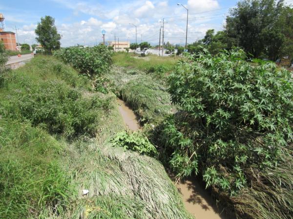 Autoriza Semarnat proyecto de parque lineal en dren de Valsequillo