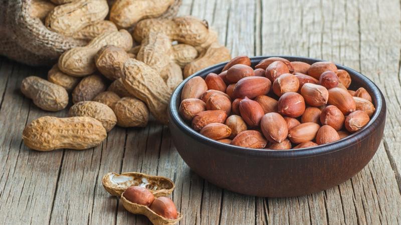 El cacahuate, invitado especial en Concurso de cocina en Huaquechula