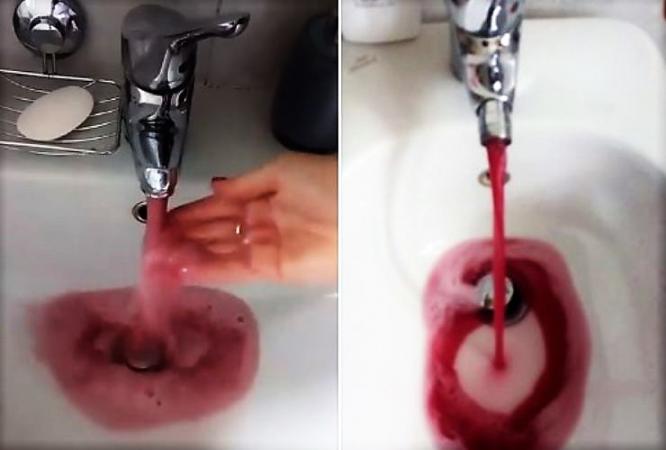 VIDEO Error en tubería provoca que salga vino en lugar de agua