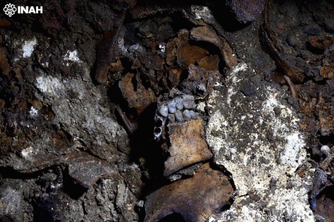 A 10 años del hallazgo del Huei Tzompantli de Tenochtitlan, cráneos son objeto de análisis de vanguardia