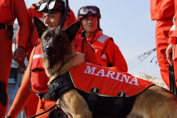 Gali anuncia vacantes para laborar en la Marina en Puebla image 2