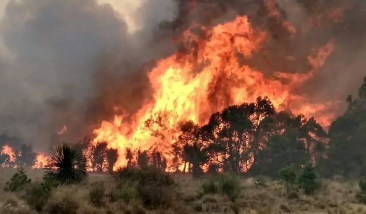 Incendios en las faldas del Citlaltépetl continúan activos