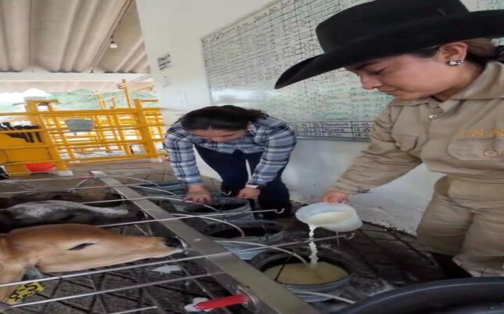 Así transforma la UNAM la ganadería mexicana