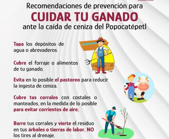 Ayala emite recomendaciones para el cuidado de animales de campo y domésticos