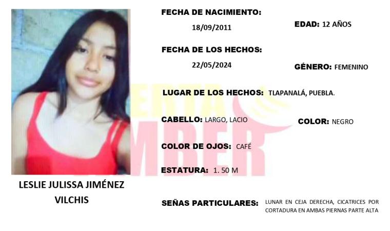 Leslie de 12 años desapareció encalles de Tlapanalá