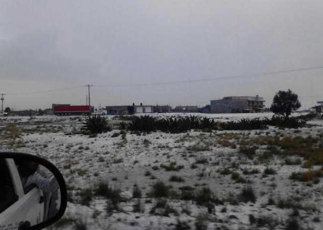 Granizada afecta Zacatepec y San Nicolás Buenos Aires image 2