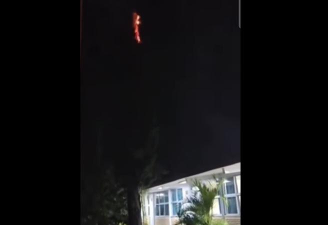 Ahora cae rayo sobre árbol de una primaria en Huaquechula