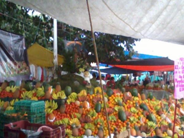 Retiran hasta 250 ambulantes en Atlixco cada mes image 2