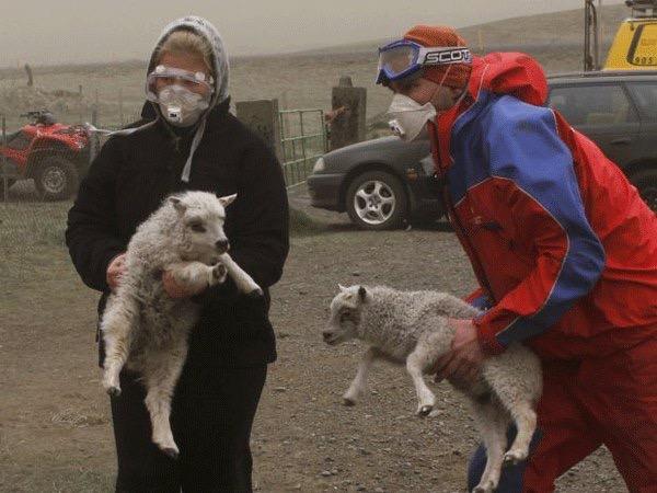 Ante posible contingencia del Popo, censarán animales en Atlixco