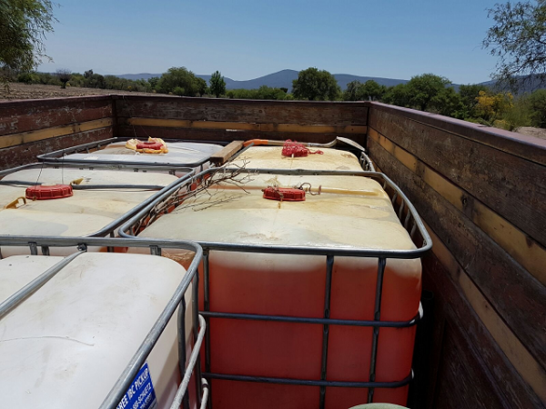 PFP asegura camión cargado con 6 mil litros de gasolina robada image 2