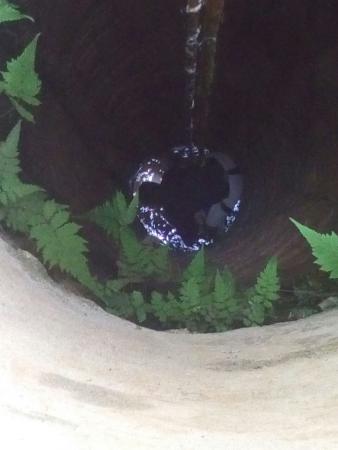 Hallan cadáver de septuagenaria dentro de pozo en Tenango de las Flores image 3