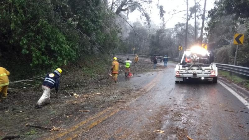 Fotos: Leticia Ánimas Vargas