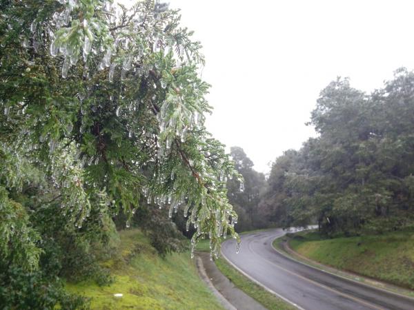 Fotos: Leticia Ánimas Vargas