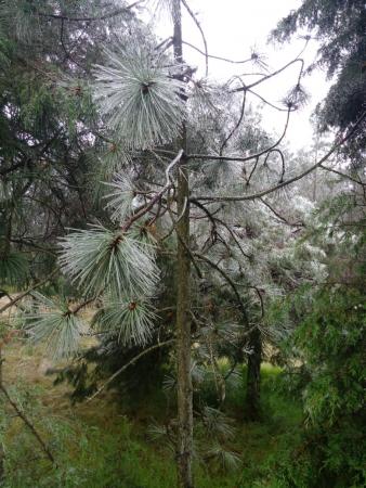 Fotos: Leticia Ánimas Vargas