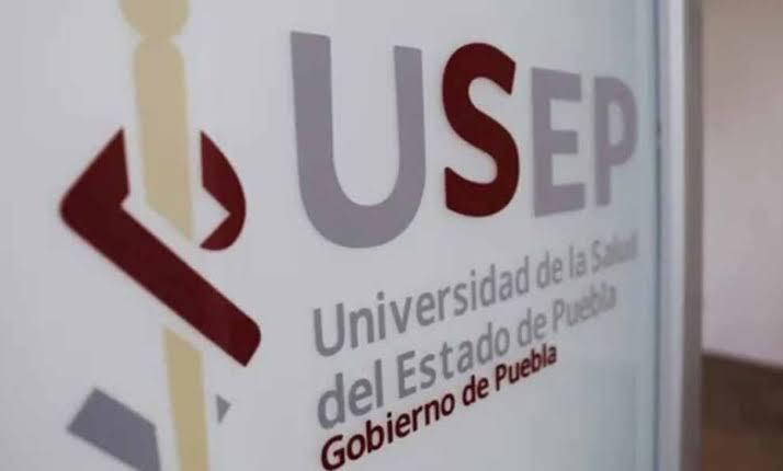 Aseguran más de 33 mil metros en Yaonáhuac y Zoquitlán para USEP