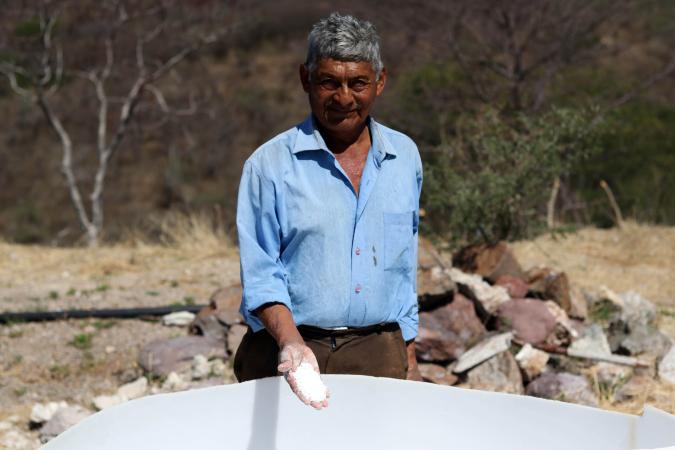 Acuerdan SDR y Unión Europea protección de melipona y sal ancestral poblana