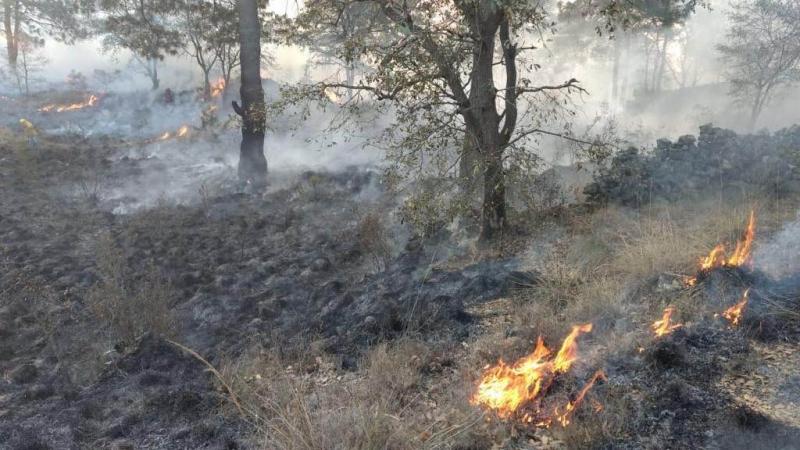 Altas temperaturas provocan incendios en Teotlalcingo
