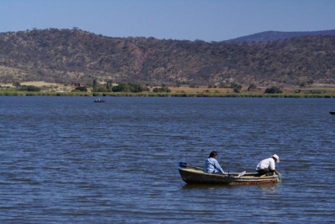 Reportan mortandad de peces en laguna de San Juan Epatlán