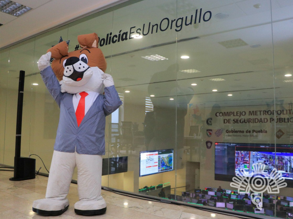 En Puebla será implementado el proyecto de chatbot TEO