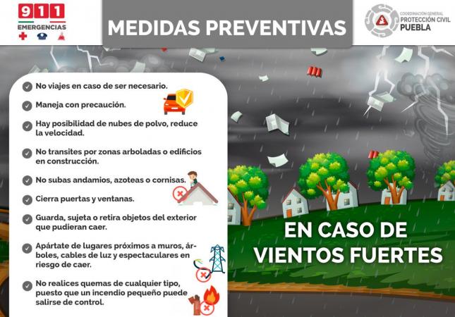 Ráfagas de viento derriban árboles en Zacapoaxtla