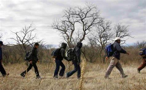 Migrantes se extravían en Sierra Acuña, Coahuila
